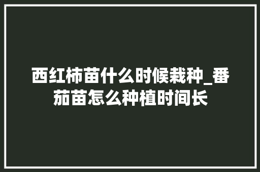 西红柿苗什么时候栽种_番茄苗怎么种植时间长 西红柿苗什么时候栽种_番茄苗怎么种植时间长 土壤施肥