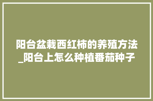 阳台盆栽西红柿的养殖方法_阳台上怎么种植番茄种子 阳台盆栽西红柿的养殖方法_阳台上怎么种植番茄种子 植物种类