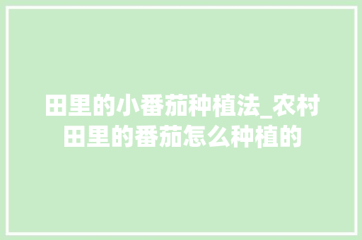 田里的小番茄种植法_农村田里的番茄怎么种植的 田里的小番茄种植法_农村田里的番茄怎么种植的 种植技巧