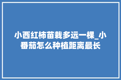 小西红柿苗栽多远一棵_小番茄怎么种植距离最长