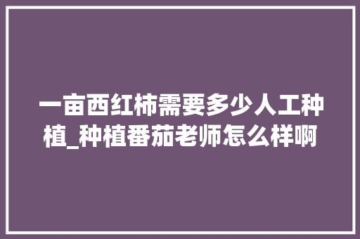 一亩西红柿需要多少人工种植_种植番茄老师怎么样啊 一亩西红柿需要多少人工种植_种植番茄老师怎么样啊 土壤施肥