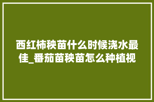 西红柿秧苗什么时候浇水最佳_番茄苗秧苗怎么种植视频 番茄种植技巧 西红柿秧苗什么时候浇水最佳_番茄苗秧苗怎么种植视频 西红柿秧苗什么时候浇水最佳_番茄苗秧苗怎么种植视频 番茄种植技巧
