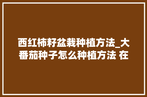 西红柿籽盆栽种植方法_大番茄种子怎么种植方法 在家 西红柿籽盆栽种植方法_大番茄种子怎么种植方法 在家 植物种类