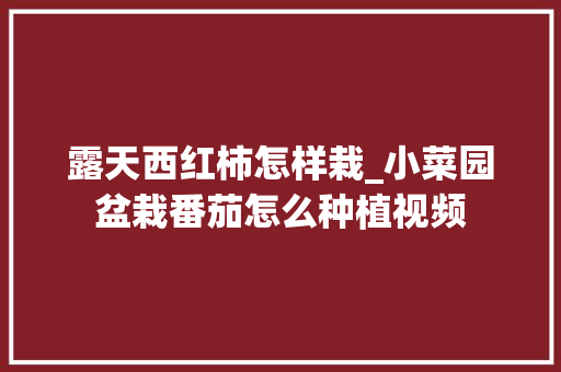 露天西红柿怎样栽_小菜园盆栽番茄怎么种植视频 露天西红柿怎样栽_小菜园盆栽番茄怎么种植视频 番茄病虫害防治