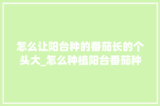 怎么让阳台种的番茄长的个头大_怎么种植阳台番茄种子 怎么让阳台种的番茄长的个头大_怎么种植阳台番茄种子 番茄种植技巧