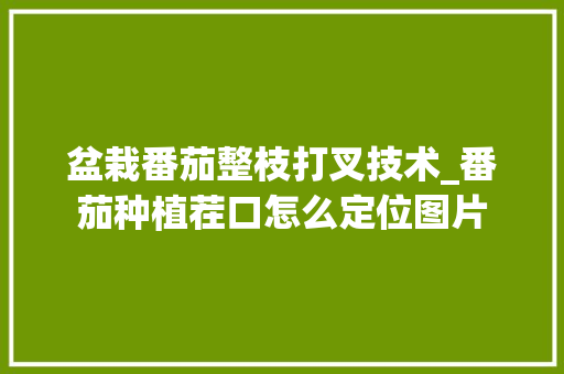 盆栽番茄整枝打叉技术_番茄种植茬口怎么定位图片 盆栽番茄整枝打叉技术_番茄种植茬口怎么定位图片 番茄病虫害防治