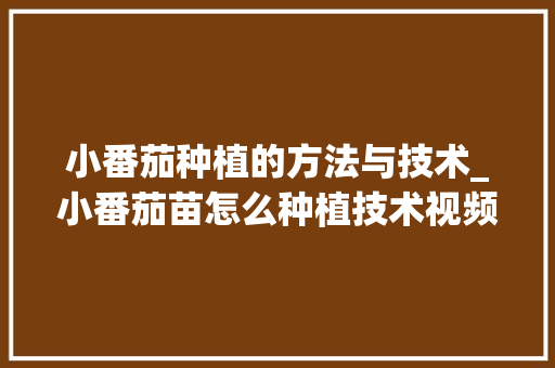 小番茄种植的方法与技术_小番茄苗怎么种植技术视频