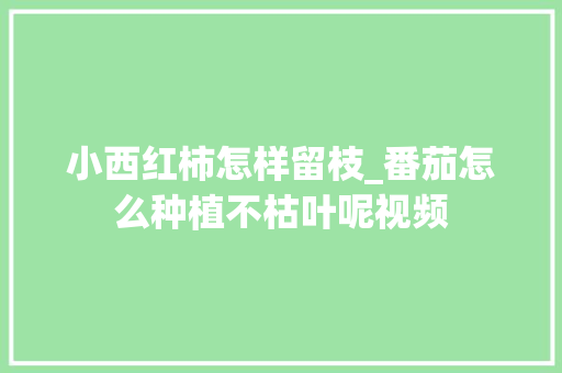 小西红柿怎样留枝_番茄怎么种植不枯叶呢视频 小西红柿怎样留枝_番茄怎么种植不枯叶呢视频 植物种类