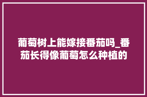 葡萄树上能嫁接番茄吗_番茄长得像葡萄怎么种植的 葡萄树上能嫁接番茄吗_番茄长得像葡萄怎么种植的 农业常识