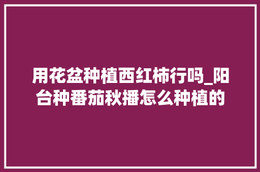 用花盆种植西红柿行吗_阳台种番茄秋播怎么种植的 用花盆种植西红柿行吗_阳台种番茄秋播怎么种植的 植物种类
