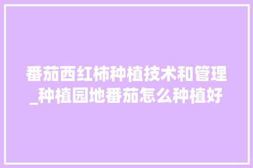番茄西红柿种植技术和管理_种植园地番茄怎么种植好呢 番茄西红柿种植技术和管理_种植园地番茄怎么种植好呢 农业常识