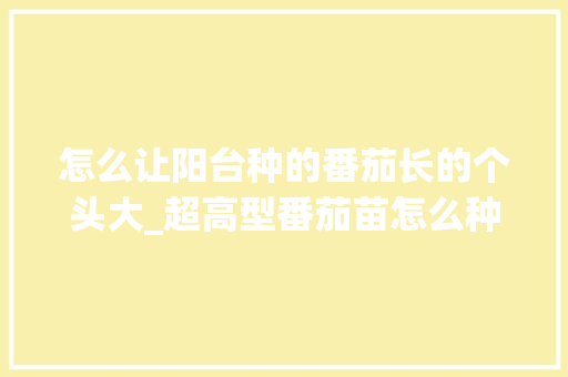 怎么让阳台种的番茄长的个头大_超高型番茄苗怎么种植视频 怎么让阳台种的番茄长的个头大_超高型番茄苗怎么种植视频 植物种类