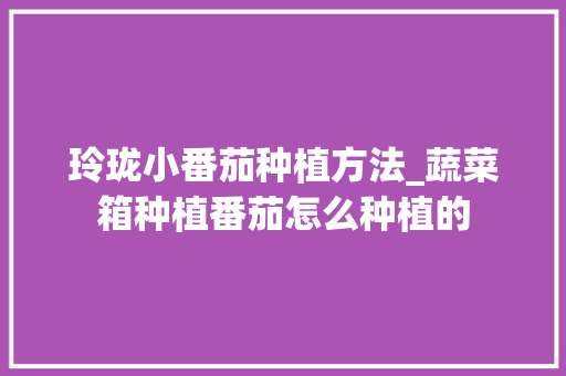 玲珑小番茄种植方法_蔬菜箱种植番茄怎么种植的 玲珑小番茄种植方法_蔬菜箱种植番茄怎么种植的 花朵知识
