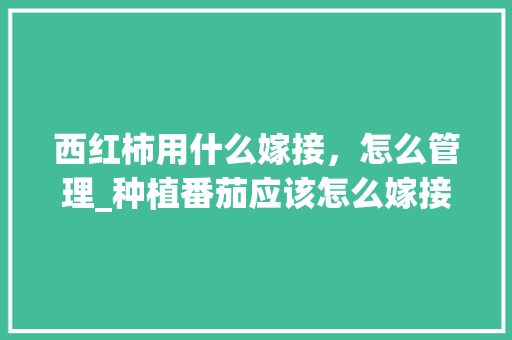 西红柿用什么嫁接，怎么管理_种植番茄应该怎么嫁接呢
