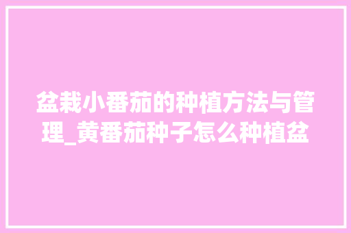 盆栽小番茄的种植方法与管理_黄番茄种子怎么种植盆栽视频 盆栽小番茄的种植方法与管理_黄番茄种子怎么种植盆栽视频 农业常识