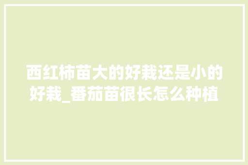 西红柿苗大的好栽还是小的好栽_番茄苗很长怎么种植视频 西红柿苗大的好栽还是小的好栽_番茄苗很长怎么种植视频 植物种类