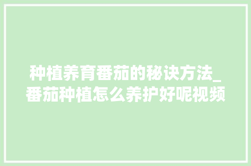 种植养育番茄的秘诀方法_番茄种植怎么养护好呢视频