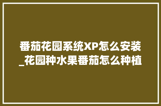番茄花园系统XP怎么安装_花园种水果番茄怎么种植的 番茄花园系统XP怎么安装_花园种水果番茄怎么种植的 花朵知识
