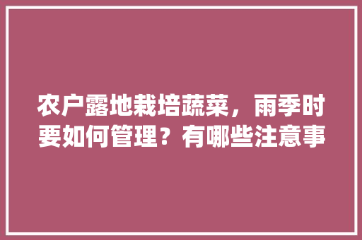 农户露地栽培蔬菜，雨季时要如何管理？有哪些注意事项_番茄种植雨季怎么管理好 农户露地栽培蔬菜，雨季时要如何管理？有哪些注意事项_番茄种植雨季怎么管理好 农业常识