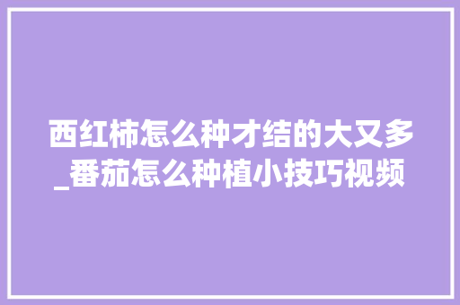西红柿怎么种才结的大又多_番茄怎么种植小技巧视频教程 西红柿怎么种才结的大又多_番茄怎么种植小技巧视频教程 土壤施肥