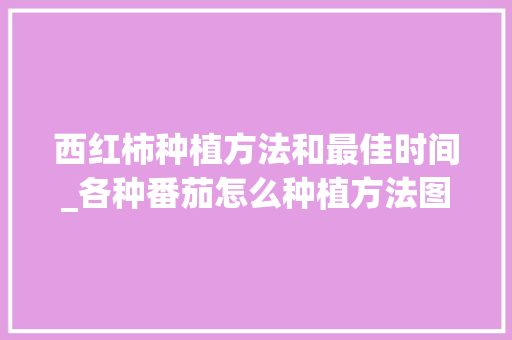 西红柿种植方法和最佳时间_各种番茄怎么种植方法图片大全 农业常识 西红柿种植方法和最佳时间_各种番茄怎么种植方法图片大全 西红柿种植方法和最佳时间_各种番茄怎么种植方法图片大全 农业常识