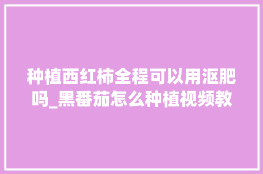 种植西红柿全程可以用沤肥吗_黑番茄怎么种植视频教学全集 种植西红柿全程可以用沤肥吗_黑番茄怎么种植视频教学全集 番茄种植技巧