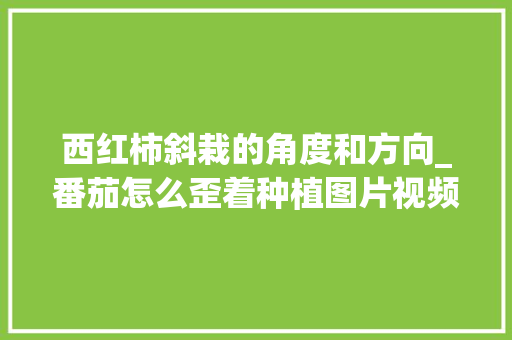 西红柿斜栽的角度和方向_番茄怎么歪着种植图片视频 西红柿斜栽的角度和方向_番茄怎么歪着种植图片视频 种植技巧
