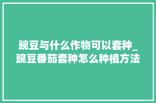 豌豆与什么作物可以套种_豌豆番茄套种怎么种植方法视频
