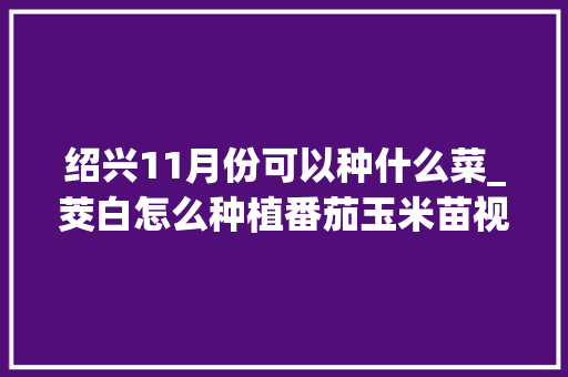 绍兴11月份可以种什么菜_茭白怎么种植番茄玉米苗视频 绍兴11月份可以种什么菜_茭白怎么种植番茄玉米苗视频 花朵知识