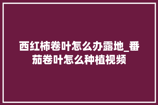 西红柿卷叶怎么办露地_番茄卷叶怎么种植视频 西红柿卷叶怎么办露地_番茄卷叶怎么种植视频 植物种类