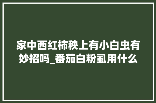 家中西红柿秧上有小白虫有妙招吗_番茄白粉虱用什么药效果好 家中西红柿秧上有小白虫有妙招吗_番茄白粉虱用什么药效果好 土壤施肥