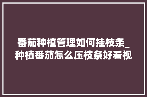 番茄种植管理如何挂枝条_种植番茄怎么压枝条好看视频 番茄种植管理如何挂枝条_种植番茄怎么压枝条好看视频 农业常识
