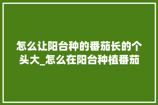 怎么让阳台种的番茄长的个头大_怎么在阳台种植番茄种子呢 怎么让阳台种的番茄长的个头大_怎么在阳台种植番茄种子呢 花朵知识