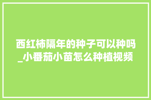 西红柿隔年的种子可以种吗_小番茄小苗怎么种植视频教程 西红柿隔年的种子可以种吗_小番茄小苗怎么种植视频教程 番茄病虫害防治