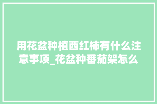 用花盆种植西红柿有什么注意事项_花盆种番茄架怎么种植视频 用花盆种植西红柿有什么注意事项_花盆种番茄架怎么种植视频 农业常识