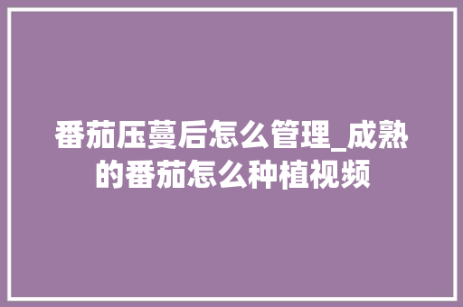 番茄压蔓后怎么管理_成熟的番茄怎么种植视频 番茄压蔓后怎么管理_成熟的番茄怎么种植视频 种植技巧