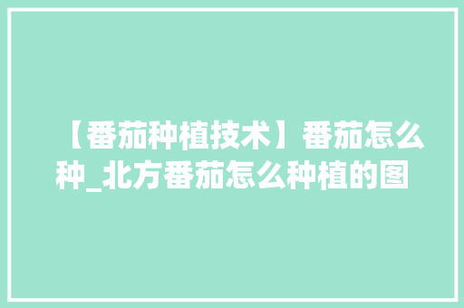 【番茄种植技术】番茄怎么种_北方番茄怎么种植的图片大全 【番茄种植技术】番茄怎么种_北方番茄怎么种植的图片大全 番茄种植技巧