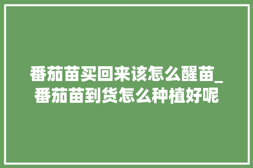 番茄苗买回来该怎么醒苗_番茄苗到货怎么种植好呢 番茄苗买回来该怎么醒苗_番茄苗到货怎么种植好呢 土壤施肥