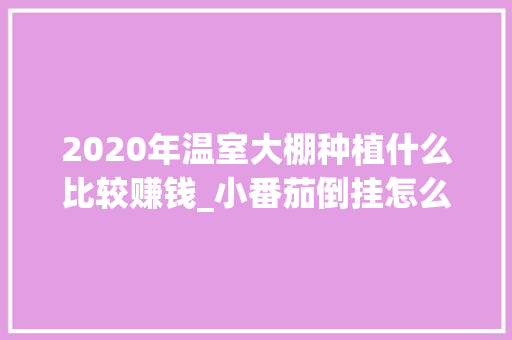 2020年温室大棚种植什么比较赚钱_小番茄倒挂怎么种植视频 2020年温室大棚种植什么比较赚钱_小番茄倒挂怎么种植视频 土壤施肥