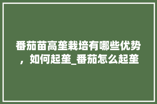 番茄苗高垄栽培有哪些优势，如何起垄_番茄怎么起垄种植视频