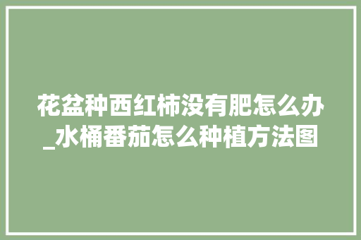 花盆种西红柿没有肥怎么办_水桶番茄怎么种植方法图解 花盆种西红柿没有肥怎么办_水桶番茄怎么种植方法图解 种植技巧