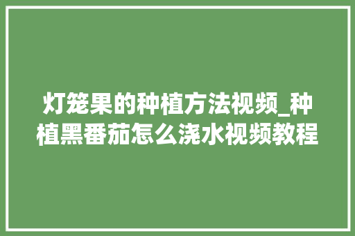灯笼果的种植方法视频_种植黑番茄怎么浇水视频教程 灯笼果的种植方法视频_种植黑番茄怎么浇水视频教程 农业常识