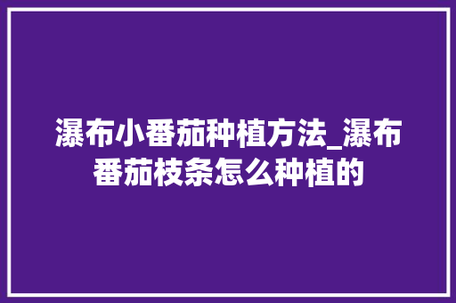 瀑布小番茄种植方法_瀑布番茄枝条怎么种植的