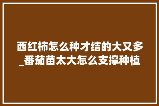 西红柿怎么种才结的大又多_番茄苗太大怎么支撑种植呢 西红柿怎么种才结的大又多_番茄苗太大怎么支撑种植呢 番茄种植技巧