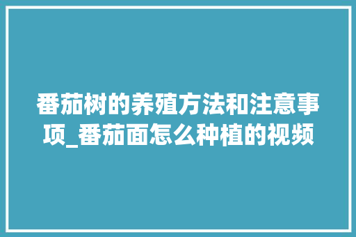 番茄树的养殖方法和注意事项_番茄面怎么种植的视频 番茄树的养殖方法和注意事项_番茄面怎么种植的视频 番茄病虫害防治