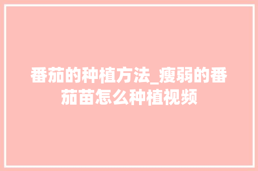 番茄的种植方法_瘦弱的番茄苗怎么种植视频 番茄的种植方法_瘦弱的番茄苗怎么种植视频 番茄病虫害防治