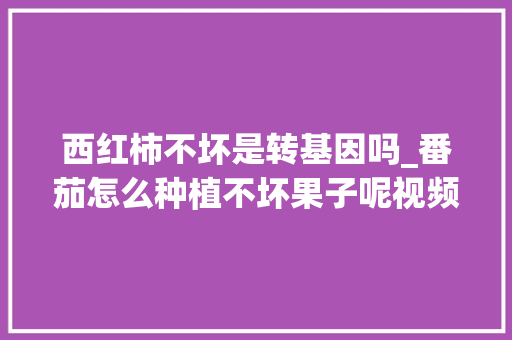 西红柿不坏是转基因吗_番茄怎么种植不坏果子呢视频 西红柿不坏是转基因吗_番茄怎么种植不坏果子呢视频 植物种类