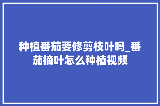 种植番茄要修剪枝叶吗_番茄摘叶怎么种植视频 种植番茄要修剪枝叶吗_番茄摘叶怎么种植视频 番茄种植技巧