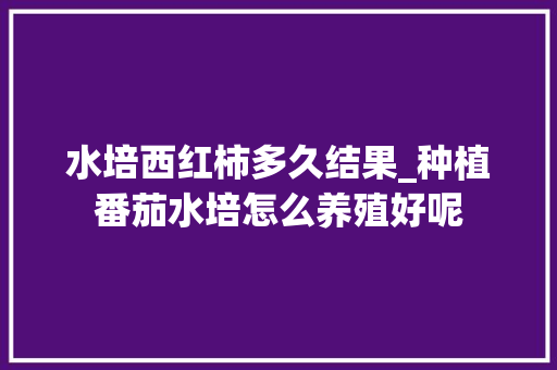水培西红柿多久结果_种植番茄水培怎么养殖好呢
