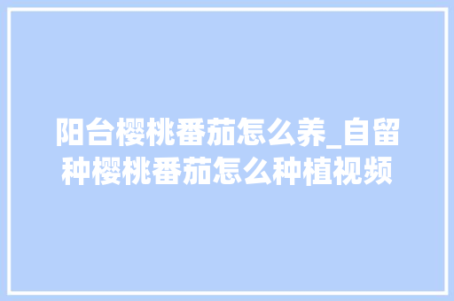 阳台樱桃番茄怎么养_自留种樱桃番茄怎么种植视频 阳台樱桃番茄怎么养_自留种樱桃番茄怎么种植视频 番茄种植技巧